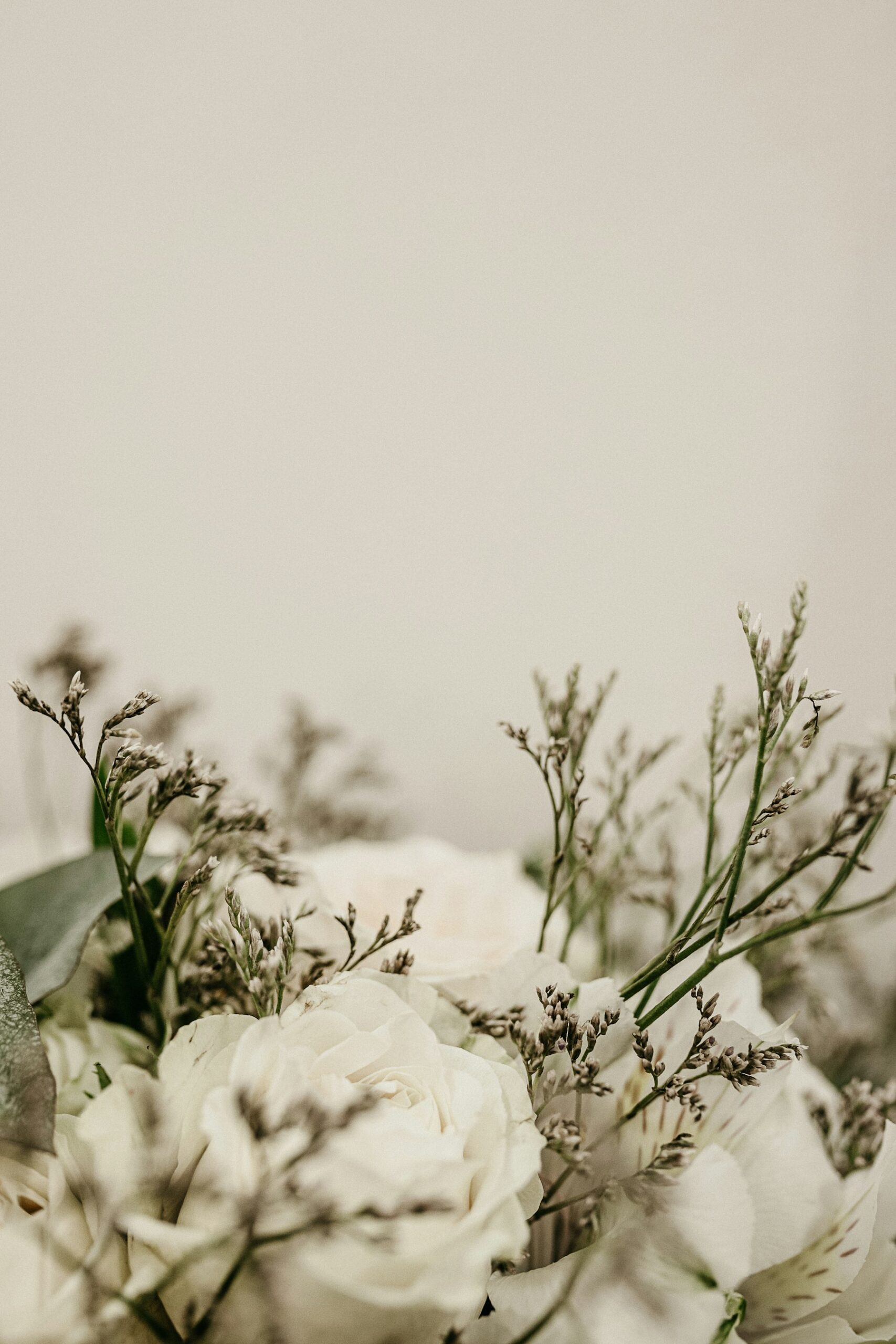 Ramas con flores blancas sobre fondo claro